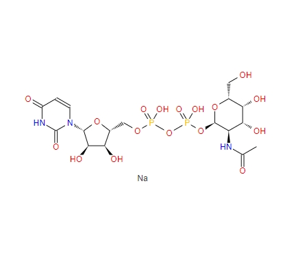 尿嘧啶核苷-5′-二磷酸-N-乙酰氨基半乳糖二鈉鹽108320-87-2